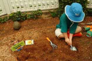Life Orientation - gardening