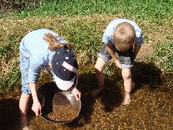 Gold Panning at Pilgrim's Rest, South Africa