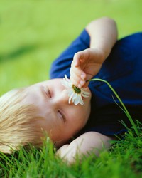 Charlotte Mason homeschool -boy sniffing daisy