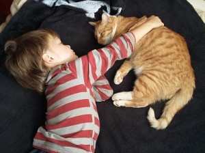 cat-hug