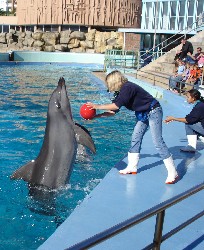 Things to do Eastern Cape - PE oceanarium