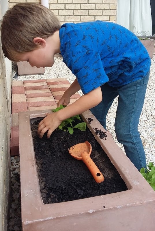 how to grow food with children