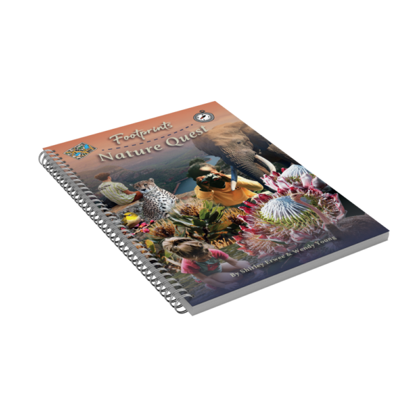 South African Homeschool Curriculum