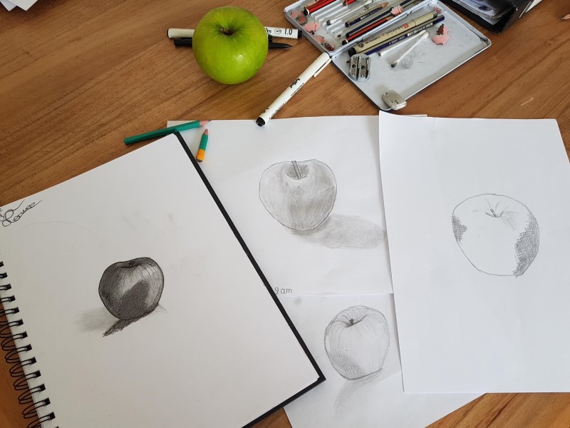 nature study drawings of an apple