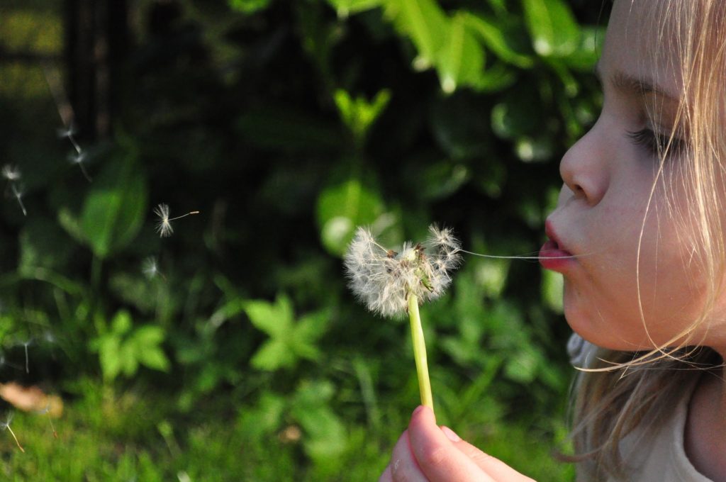 nature study in towns and cities