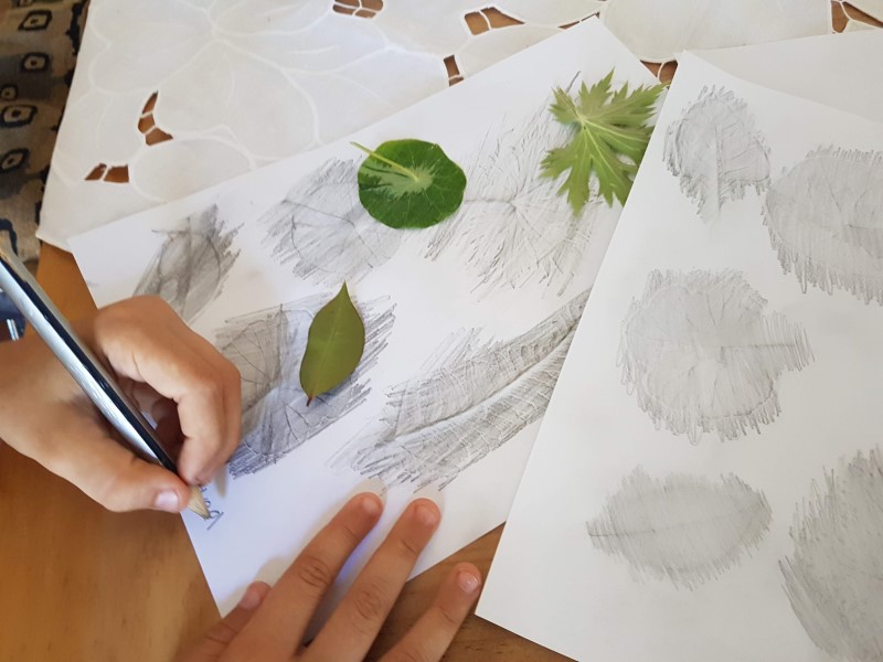 how to do nature study - leaf rubbings