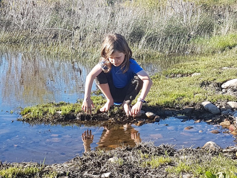 Nature study - Footprints Nature Question - South African Homeschool Curiculum