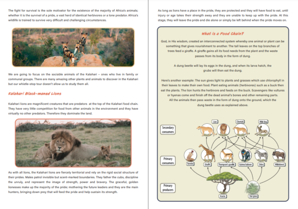 Footprints Nature Quest sample pages