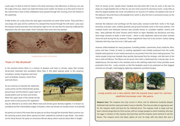 Footprints Nature Quest Classic Pack - Image 9