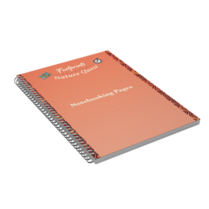 Footprints Nature Quest Notebooking pages