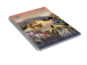 South African Homeschool Curriculum