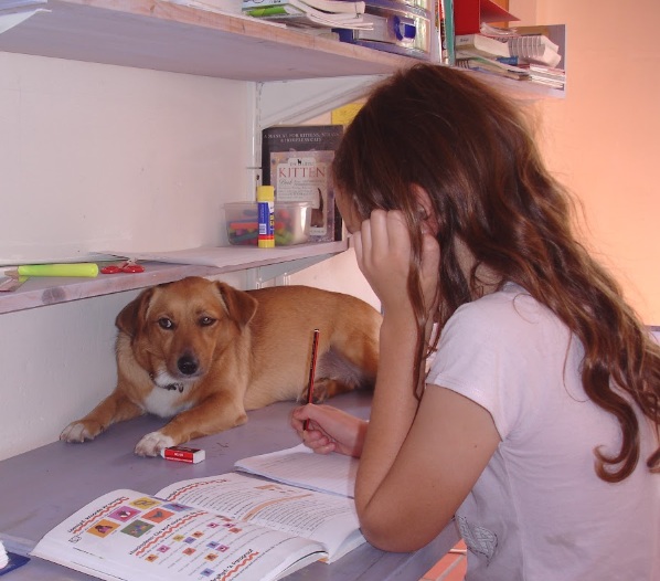 home education