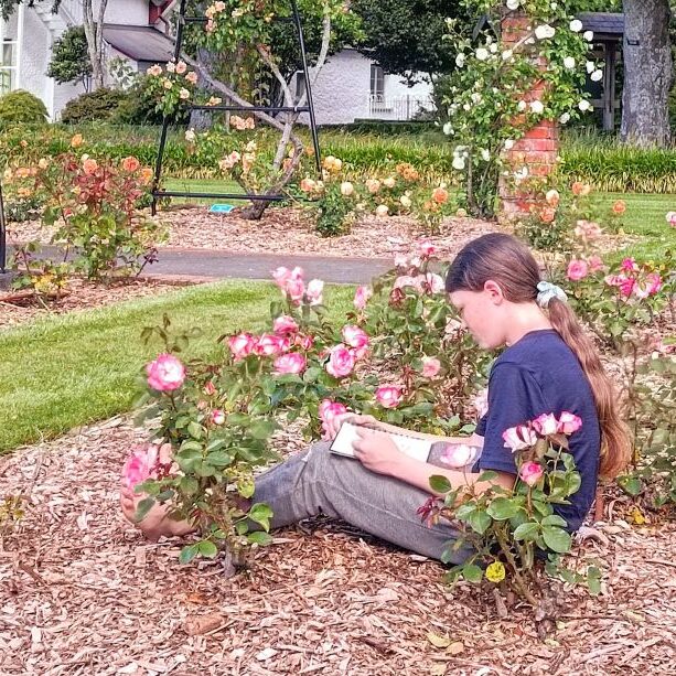 Nature journalling in a public rose garden