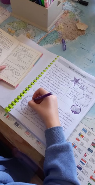 A homeschool child's Voetspore notebooking pages